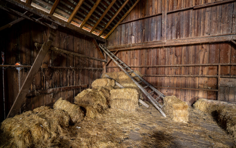 Easy Fall Improvements for Your Barn